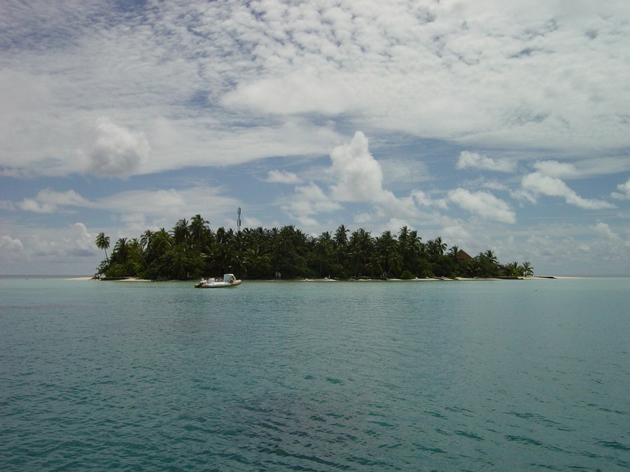 Maledivian Island