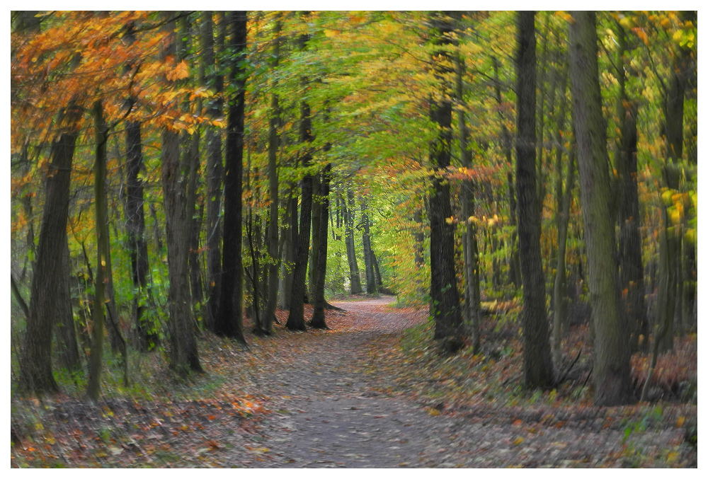 Malen mit der Kamera - Herbst