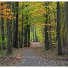 Malen mit der Kamera - Herbst