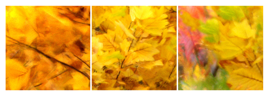 malen mit Licht - Herbst