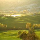 Malen mit Licht_04_Toscana