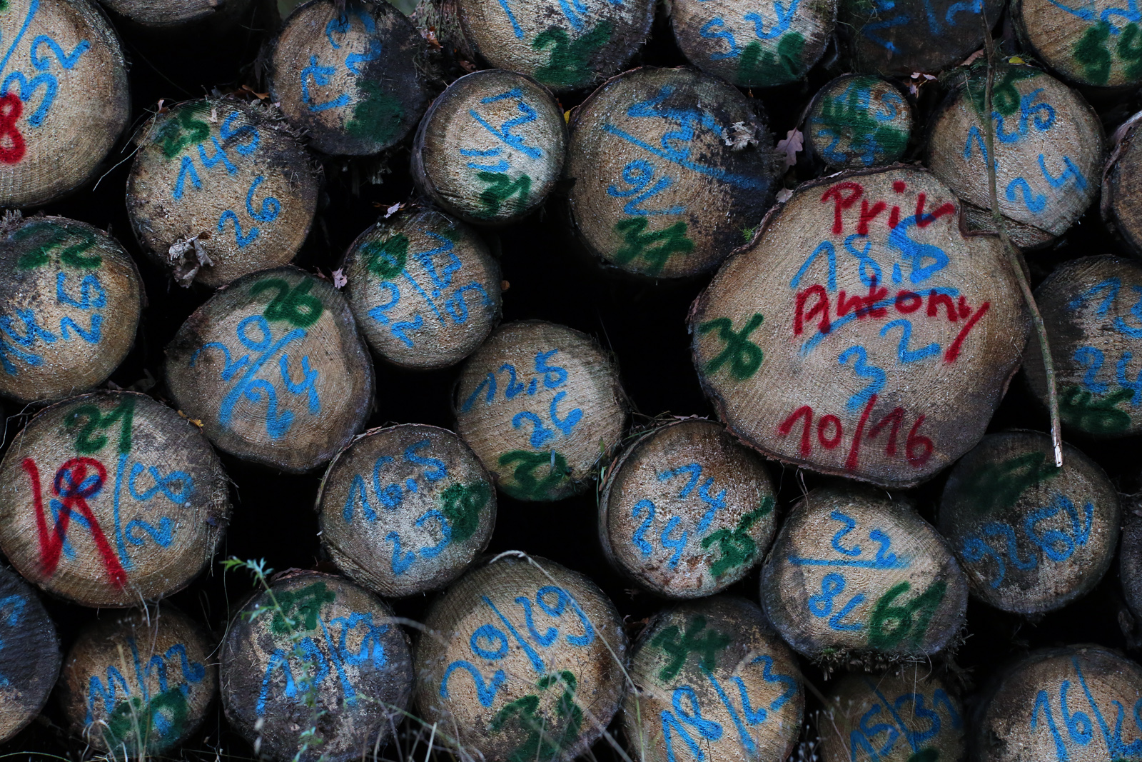 Malen nach Zahlen Foto & Bild | holz, motive, taunus Bilder auf