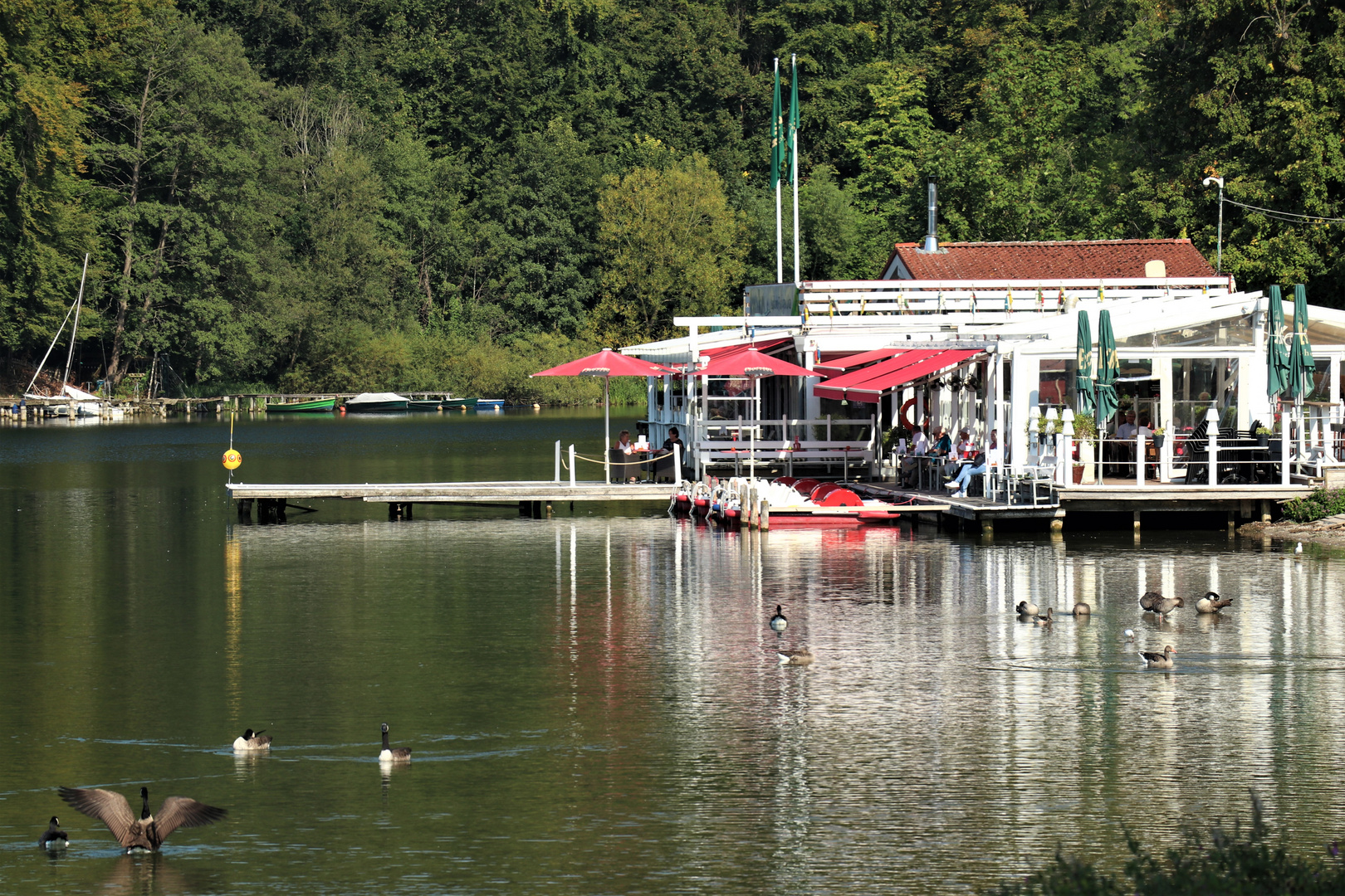 Malente - am schönen Dieksee