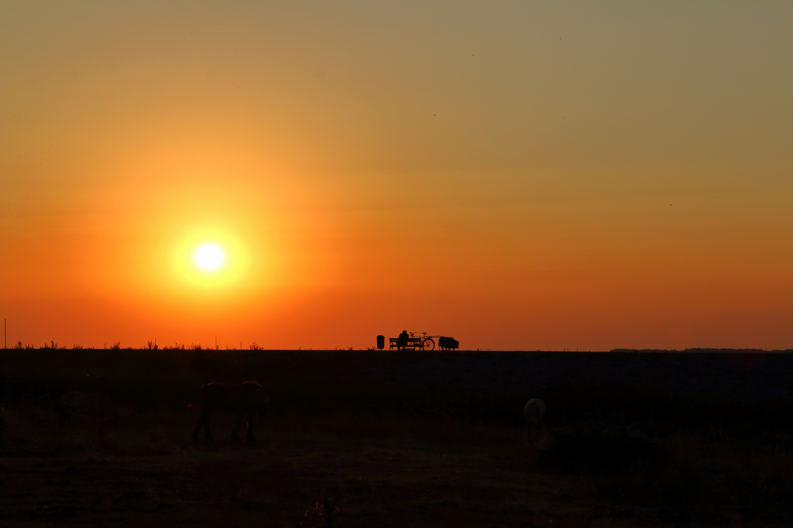 Maler beim Sonnenaufgang