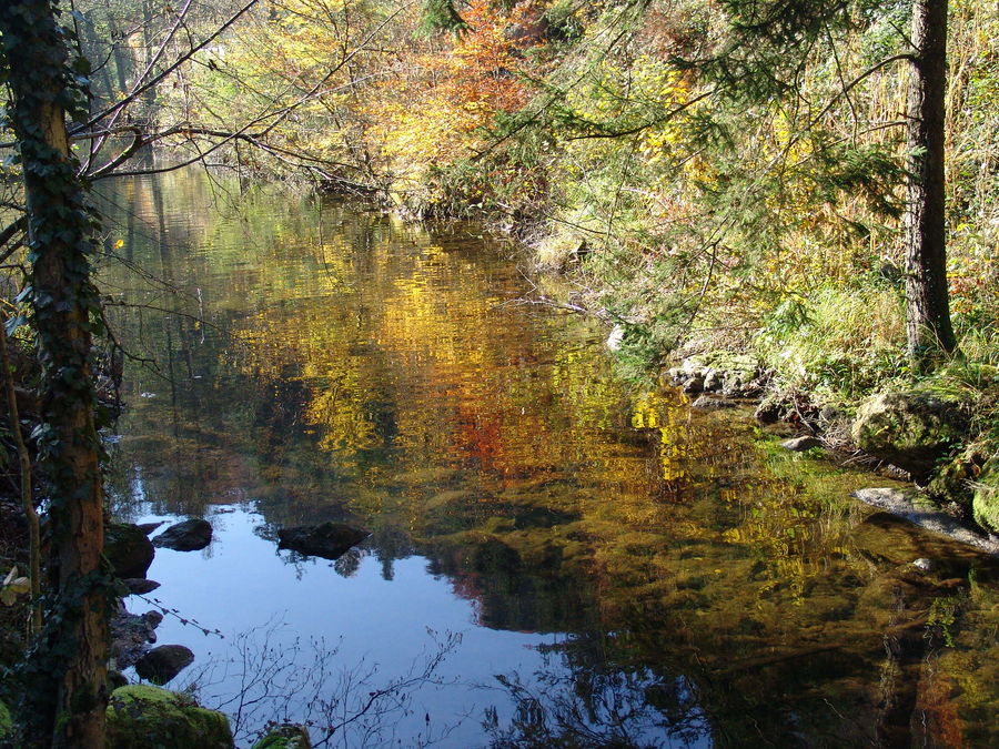 Maler Herbst