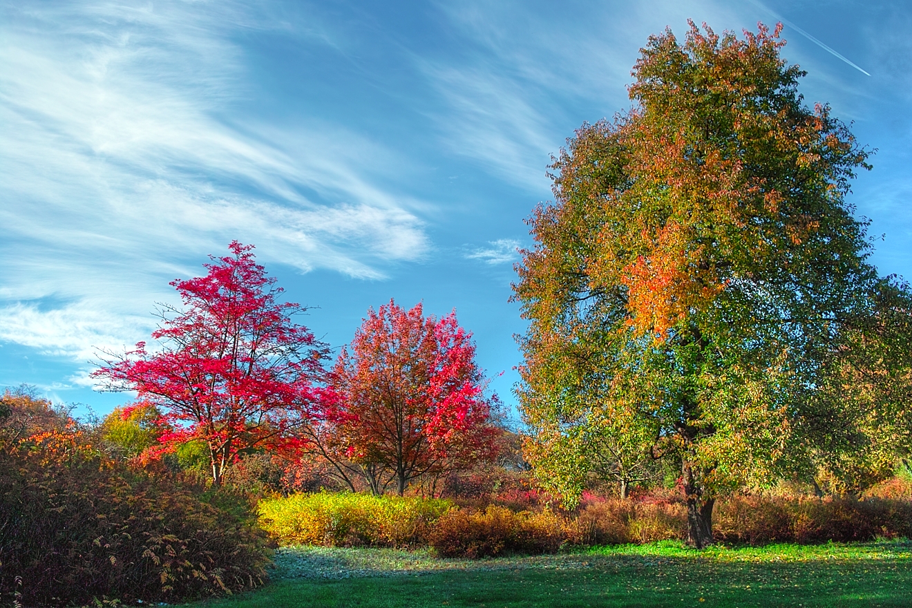 Maler Herbst