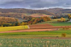 Maler - Herbst....