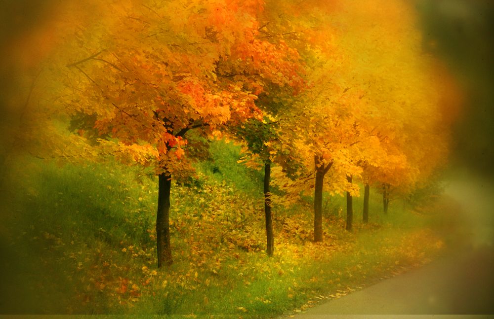 Maler Herbst