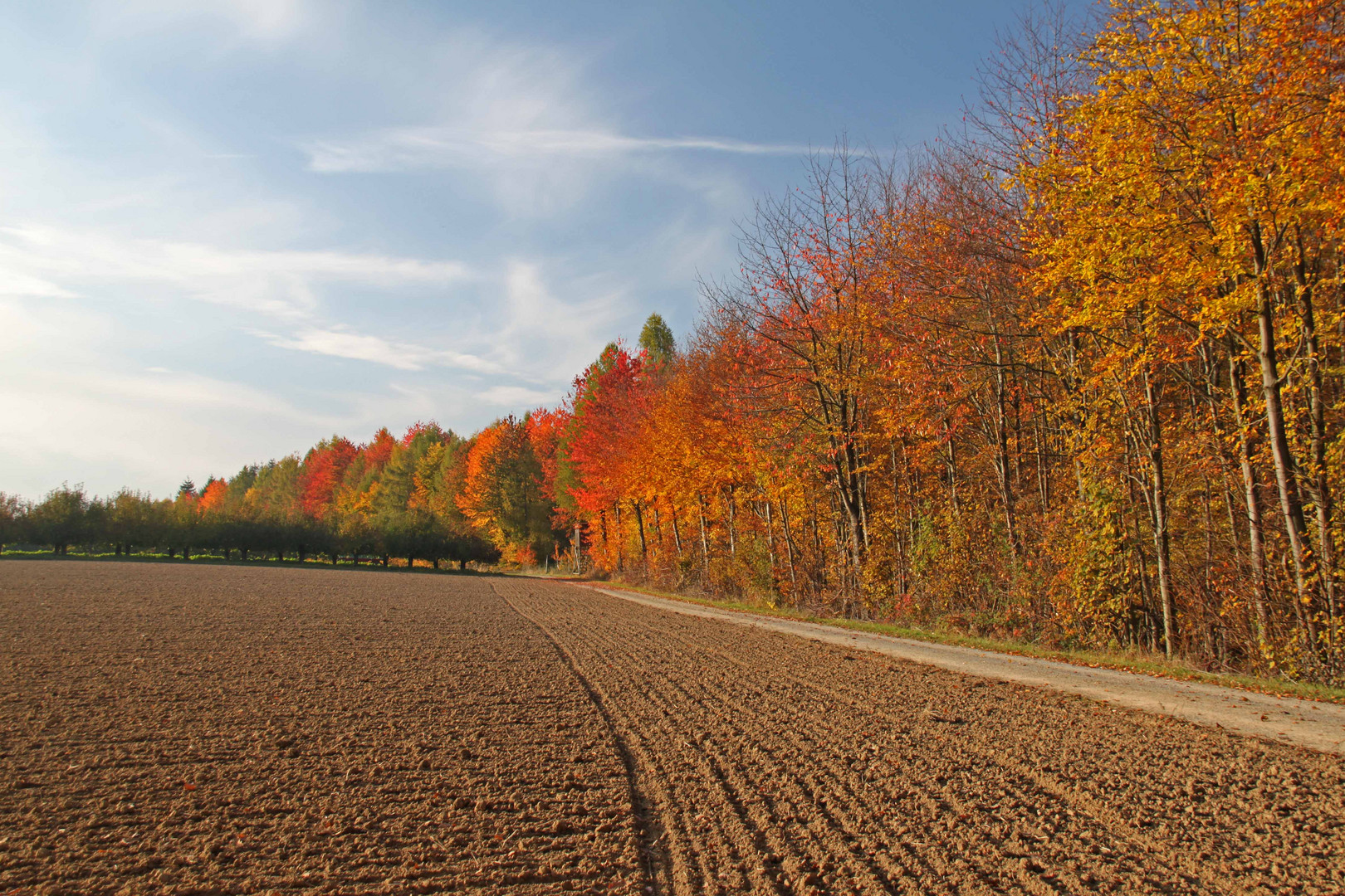 Maler Herbst