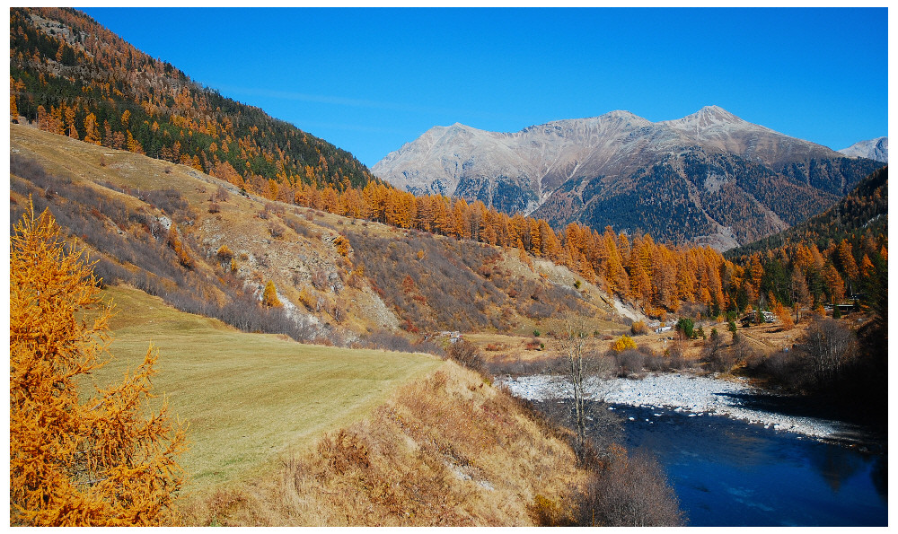 Maler Herbst