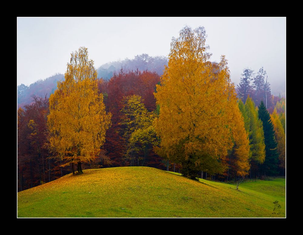 Maler Herbst griff in den Farbtopf