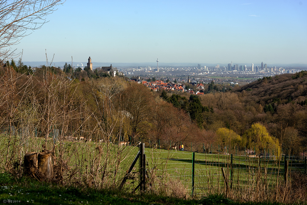 Malerblick 20.3.14