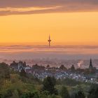 Malerblick in Kronberg & Frankfurter Skyline bei Sonnenaufgang im Herbst