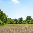 Malerei der Landwirtschaft