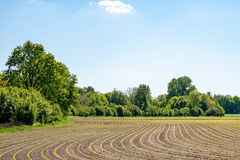 Malerei der Landwirtschaft