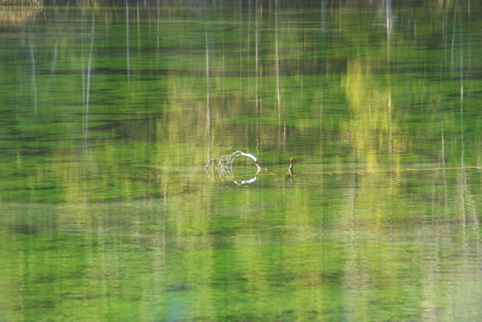 Malerei im Teich