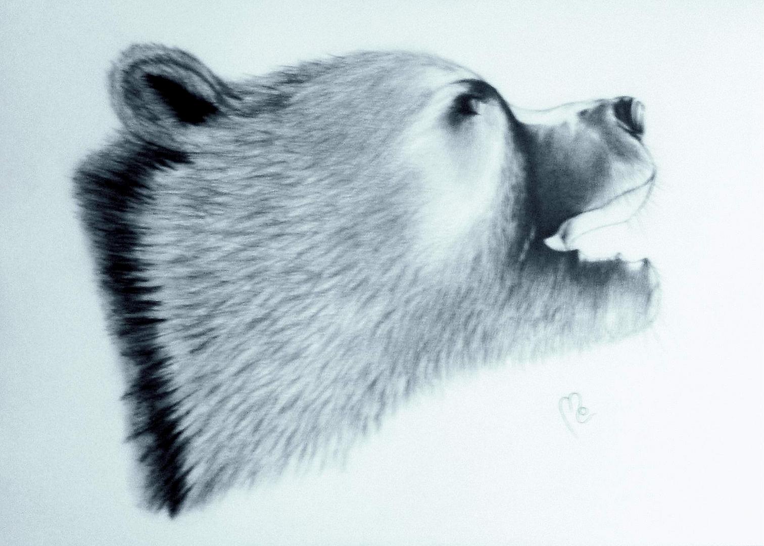 Malerei-Zeichnung: Tittel: Karl der Grizzly