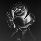 Malerei-Zeichnung: Tittel: Meine Rose schwarz