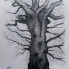Malerei - Zeichnungen: Tittle: Mein Freund der Baum - Alte Eiche im Wandel