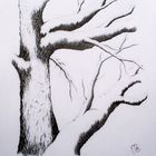 Malerei - Zeichnungen - Wald: Tittel: Baum im Schnee