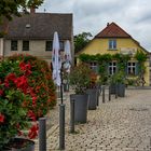 Malerische Altstadt  Insel  Werder an der Havel
