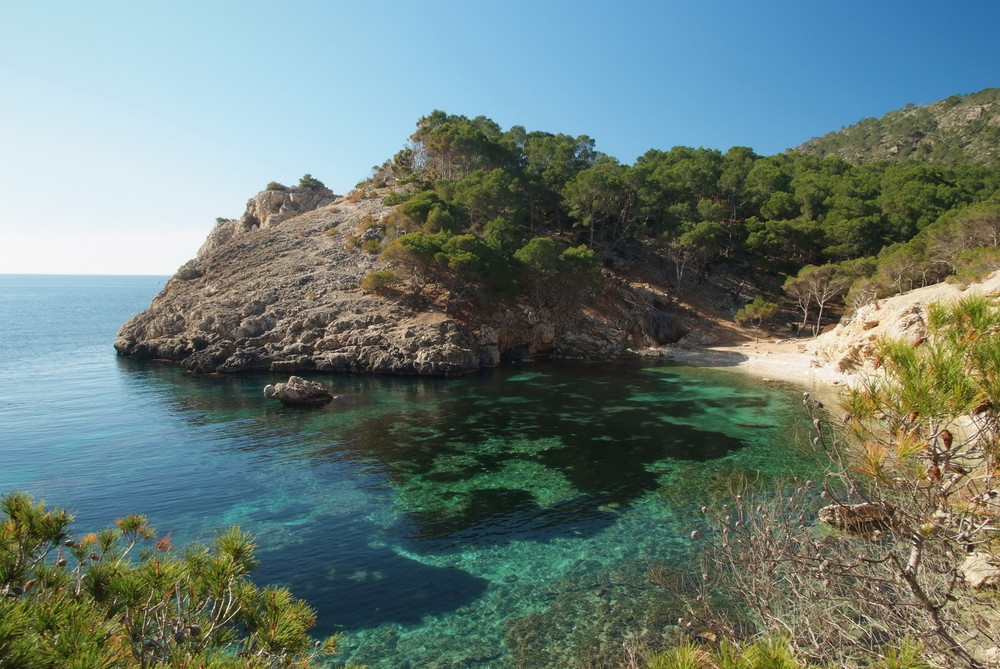 Malerische Bucht bei Paguera