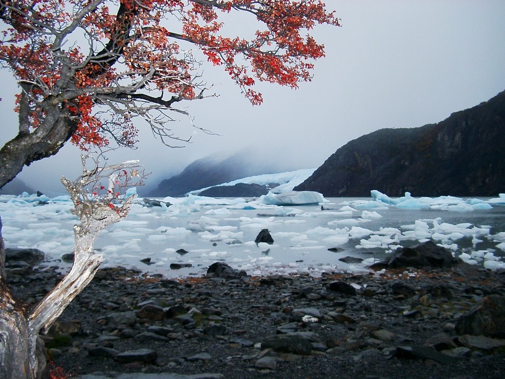 Malerische Gletscherlagune des Lago Onelli,, Patagonien, Argentinien