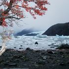 Malerische Gletscherlagune des Lago Onelli,, Patagonien, Argentinien