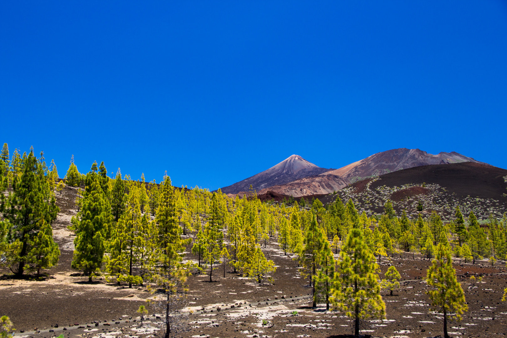 malerische Kunst auf Teneriffa