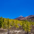 malerische Kunst auf Teneriffa