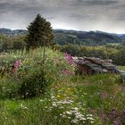 malerische Landschaft