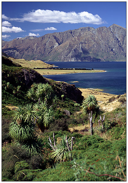 Malerische Landschaft am Lake Hawea