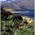 Malerische Landschaft am Lake Hawea