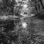 malerische Landschaft im Englischen Garten zu Dessau-Rosslau