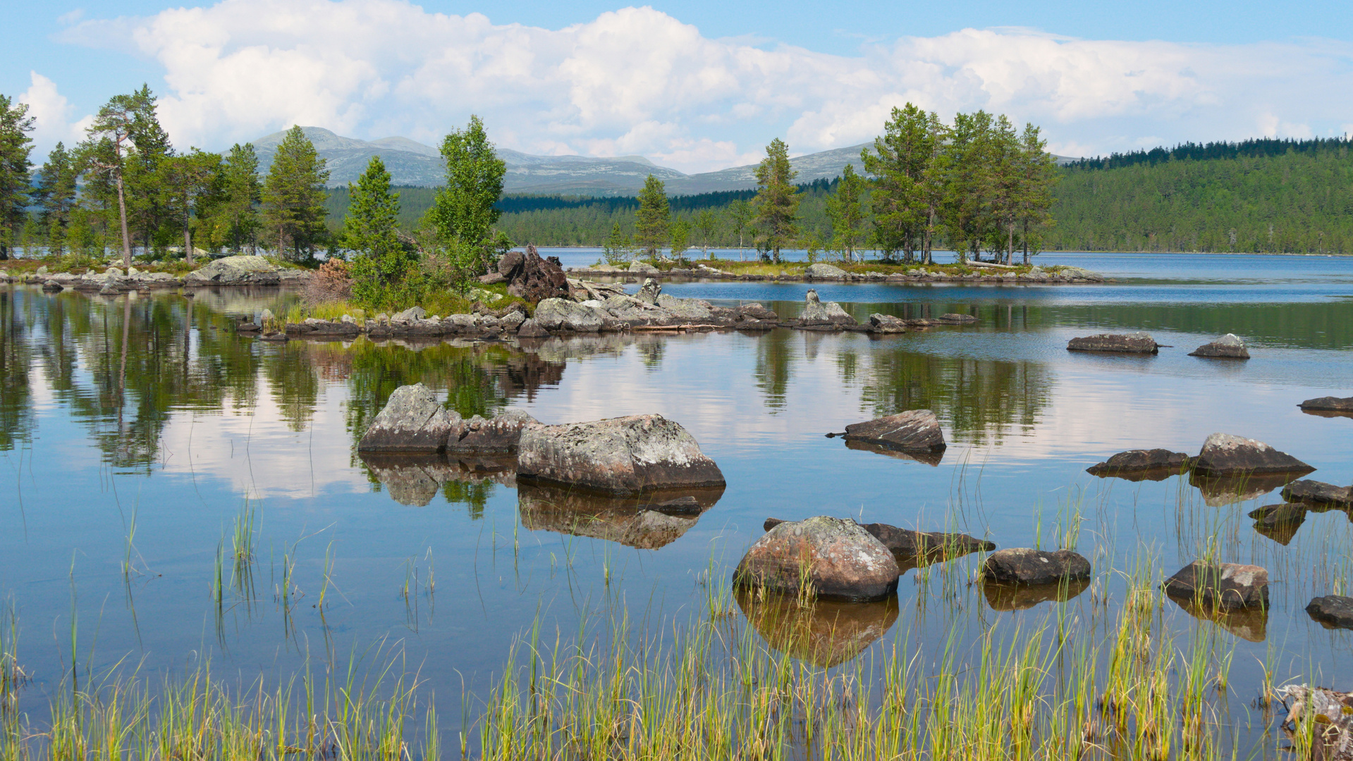 Malerische Landschaft im Gutulia-Nationalpark