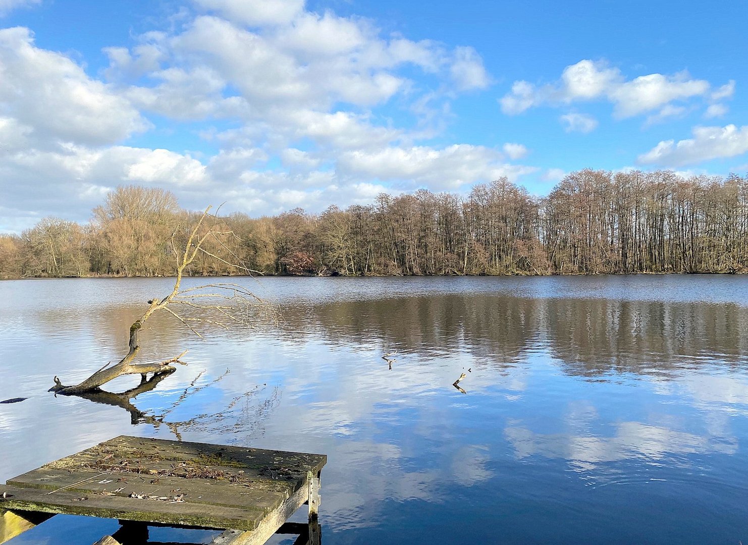 Malerische Natur am See