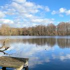 Malerische Natur am See