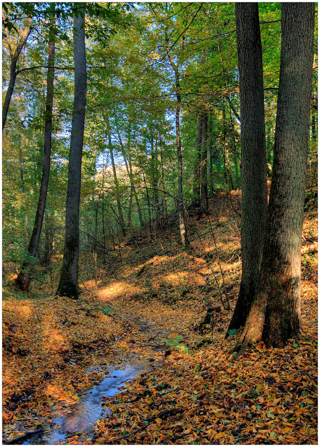 Malerische Quelle des Lyna Flusses