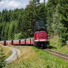 Malerische Stelle im Wald