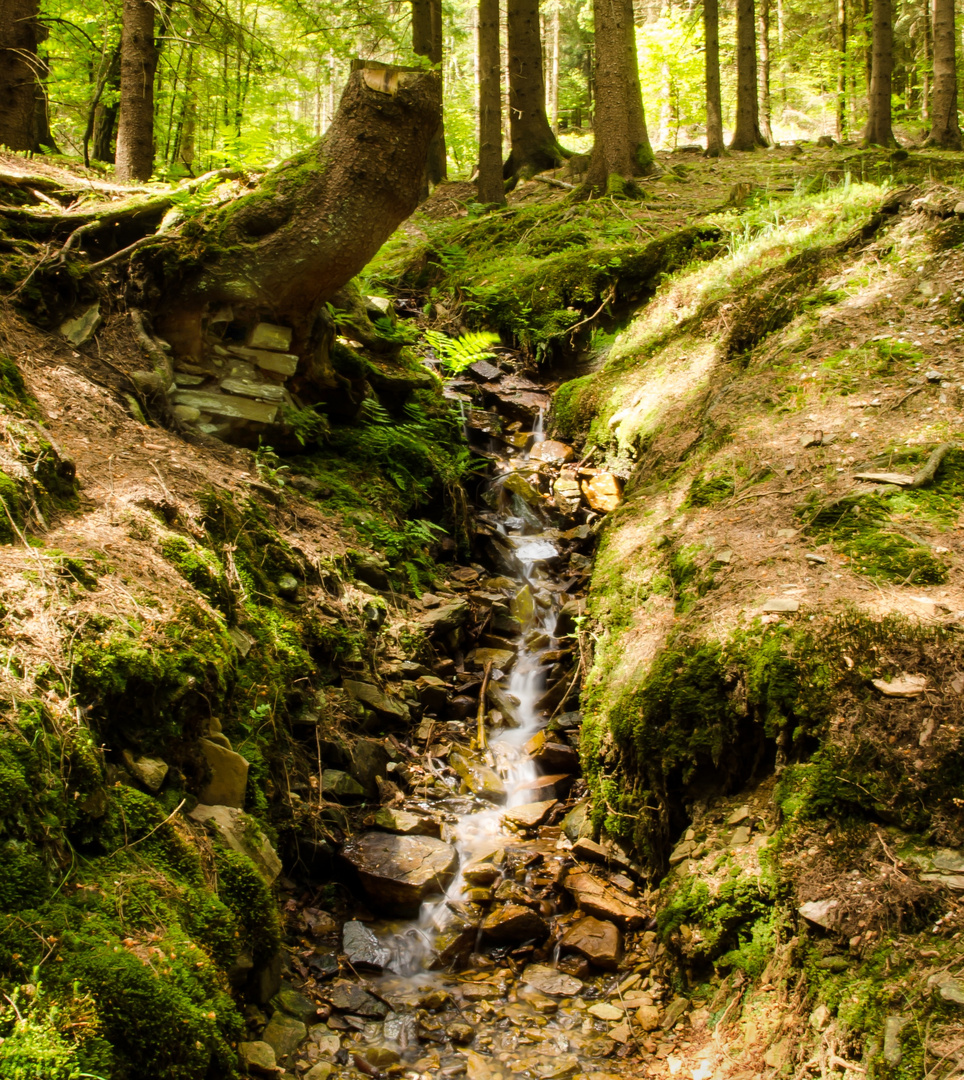 Malerische Szene