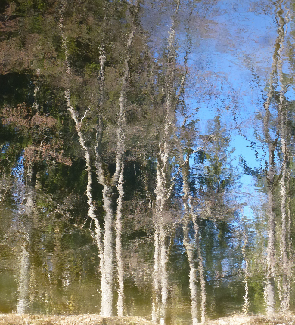 Malerische Wasserspiegelung