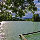 Malerischer Buchensee #3