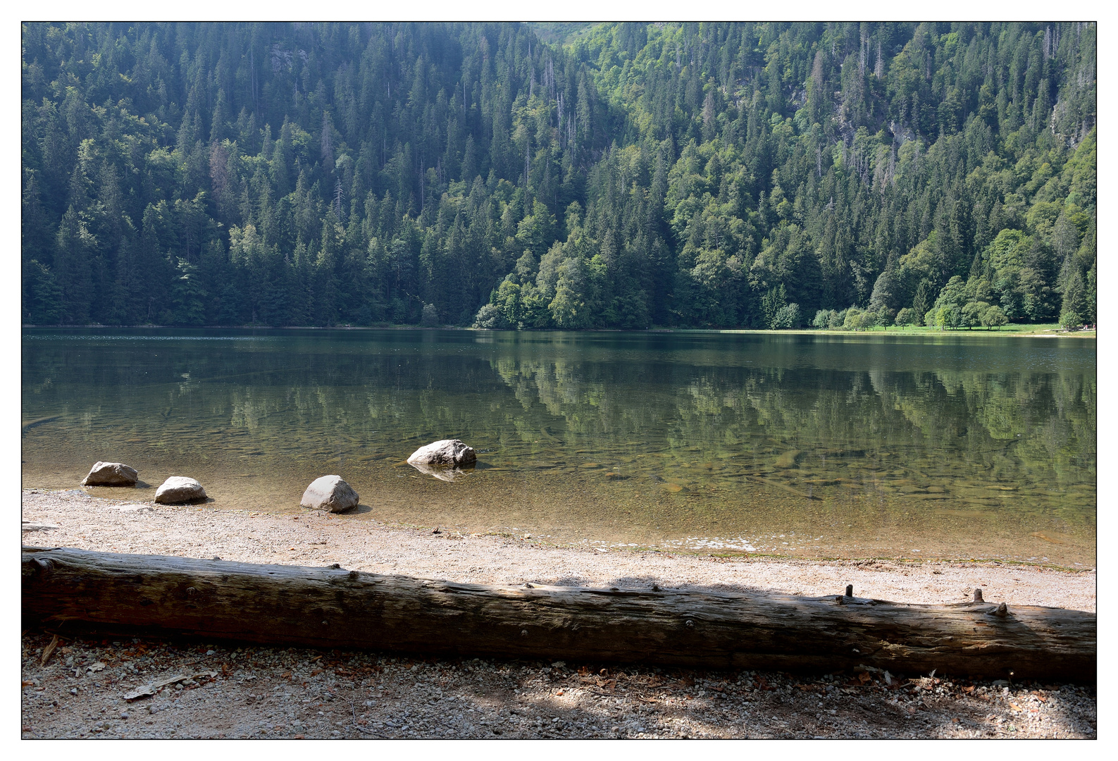 Malerischer Feldsee