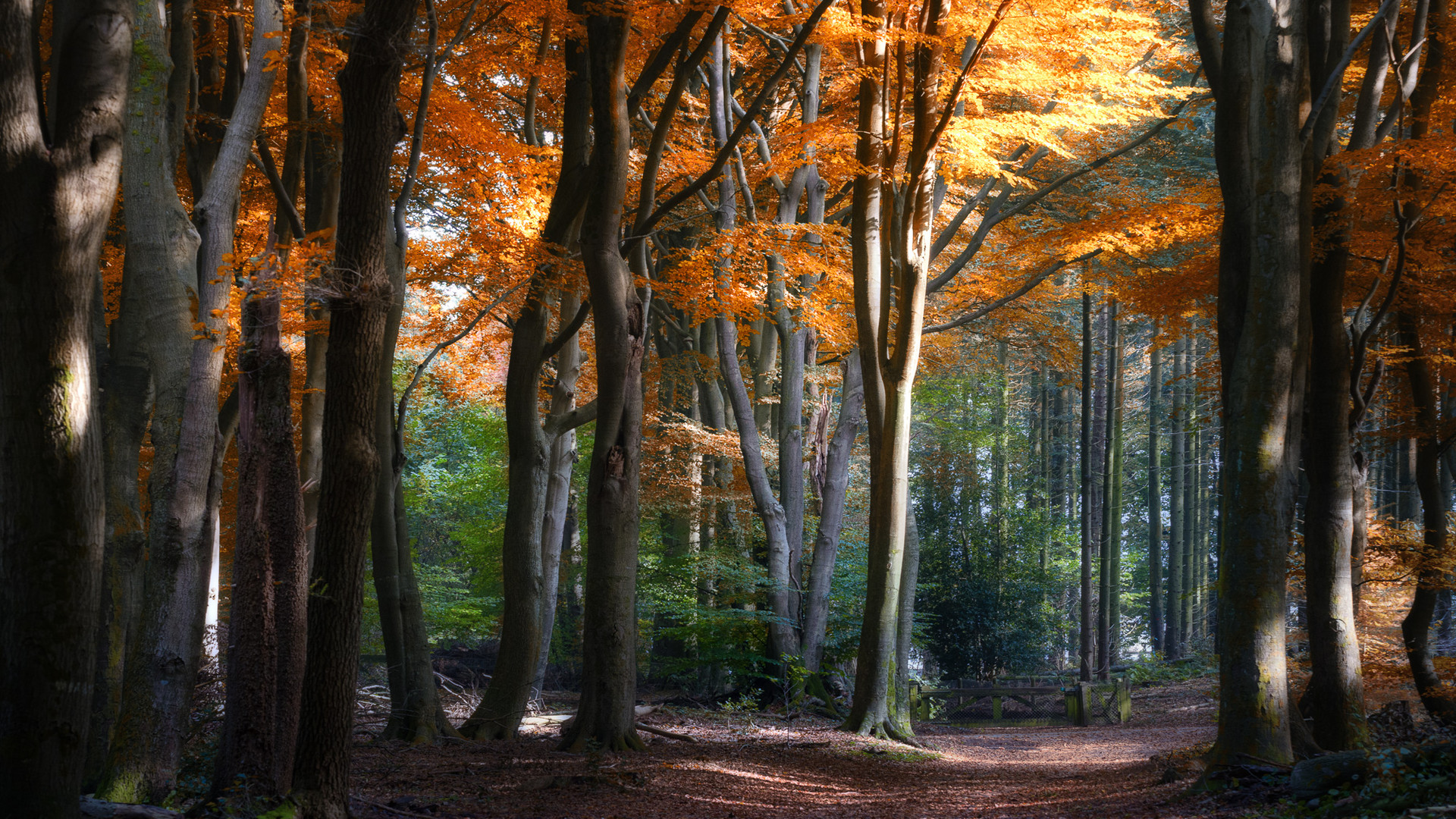 Malerischer Herbst