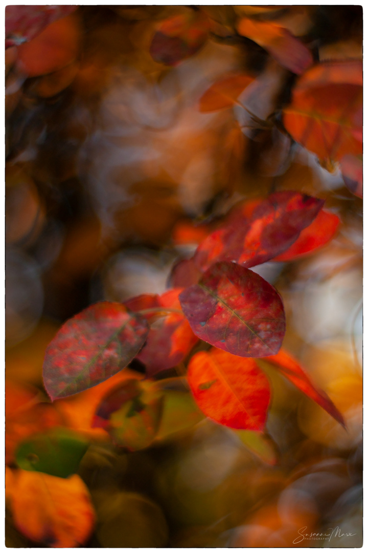 malerischer Herbst