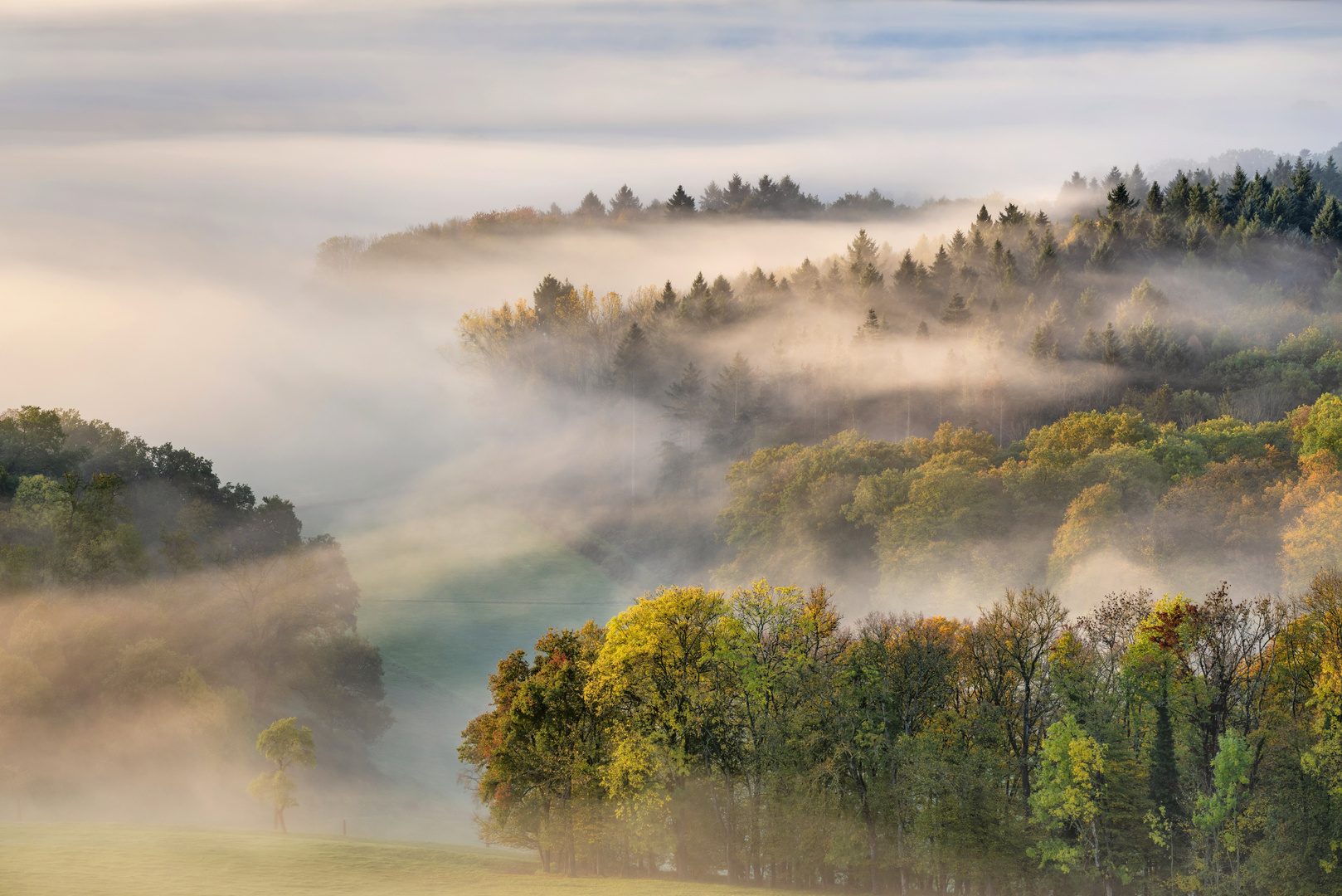 *malerischer Herbstwald*