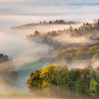 *malerischer Herbstwald*