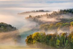 *malerischer Herbstwald*