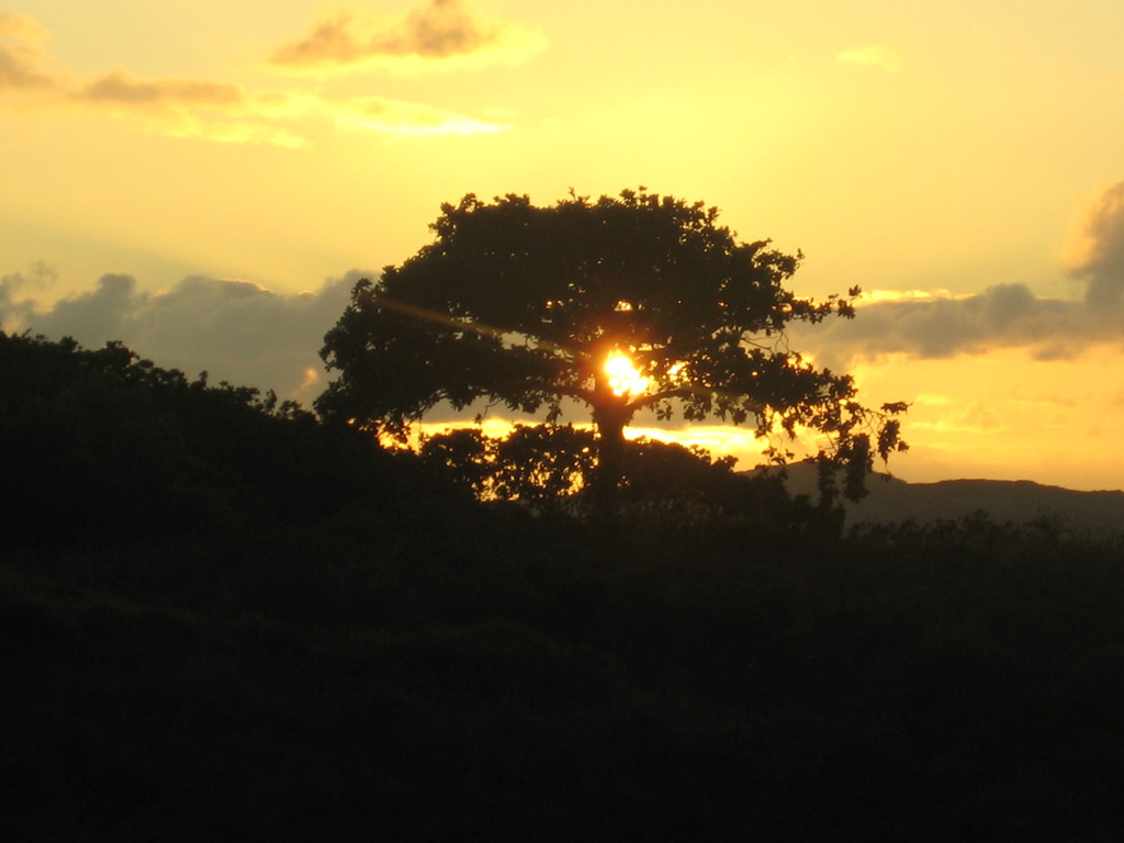 Malerischer Sonnenuntergang  