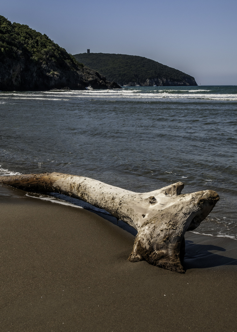 Malerischer Strand